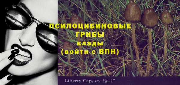 СК Магас
