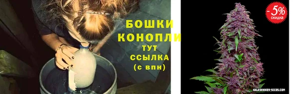 трава Архангельск